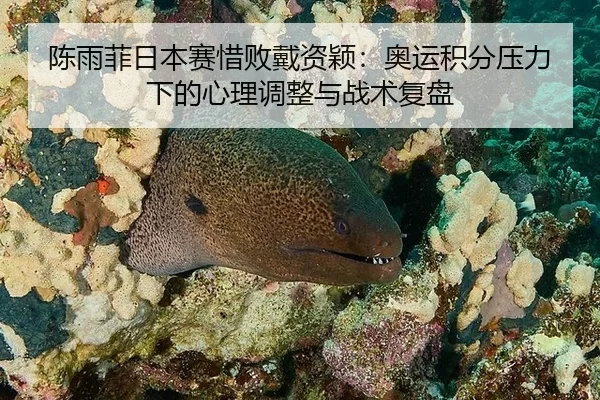 chen-yu-fei-ri-ben-sai-xi-bai-dai-zi-ying-ao-yun-ji-fen-ya-li-xia-de-xin-li-tiao-zheng-yu-zhan-shu-fu-pan-1-725.jpg