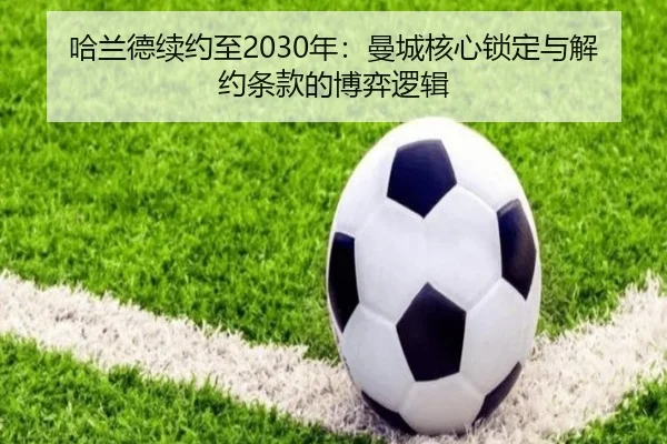 ha-lan-de-xu-yue-zhi-nian-man-cheng-he-xin-suo-ding-yu-jie-yue-tiao-kuan-de-bo-yi-luo-ji-3-557.jpg